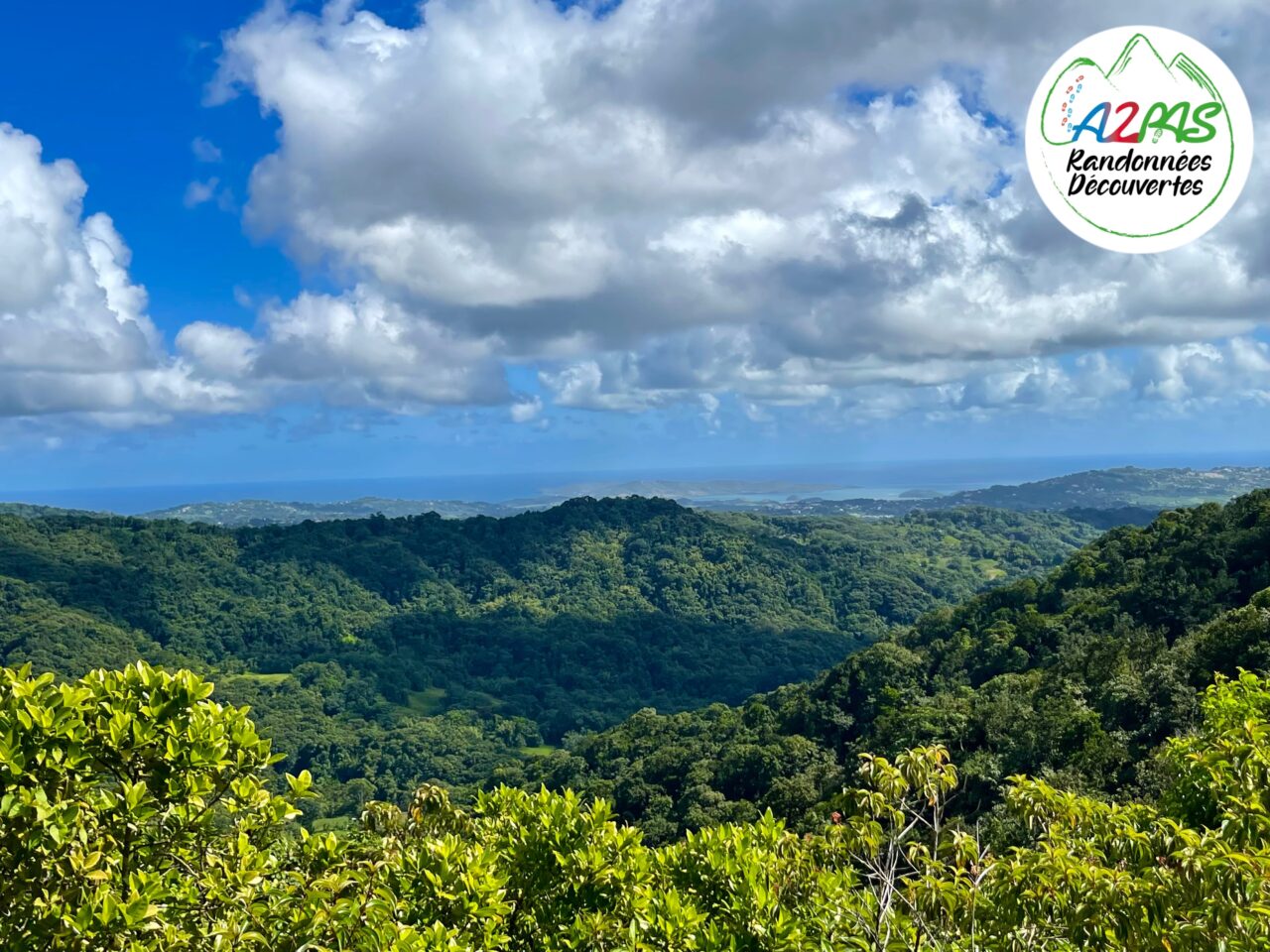 randonne-la-boucle-de-rabuchon-martinique1