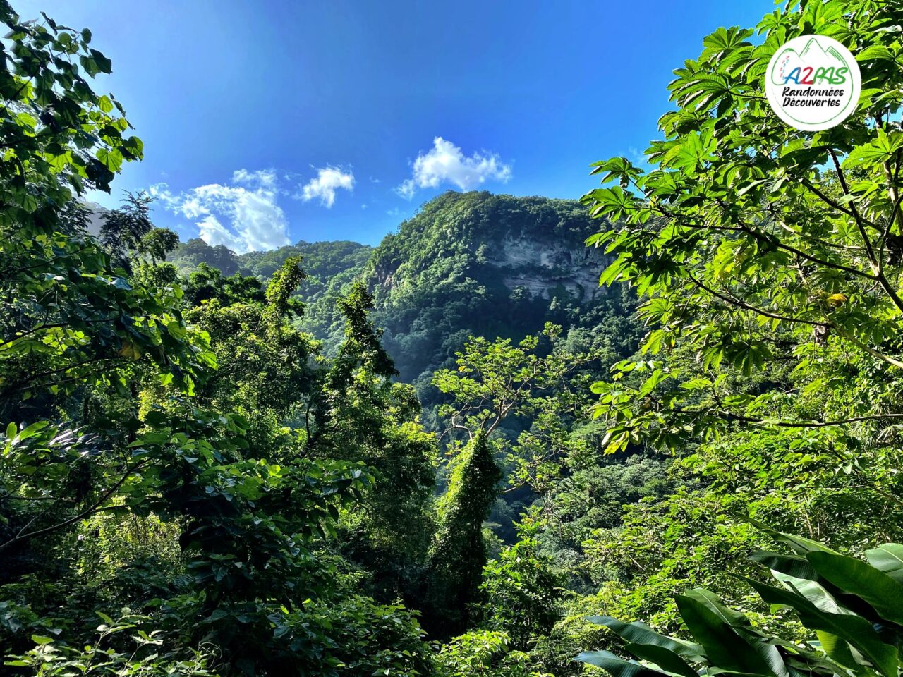 randonnee-anse-couleuvre-grand-riviere-martinique-mont-conil