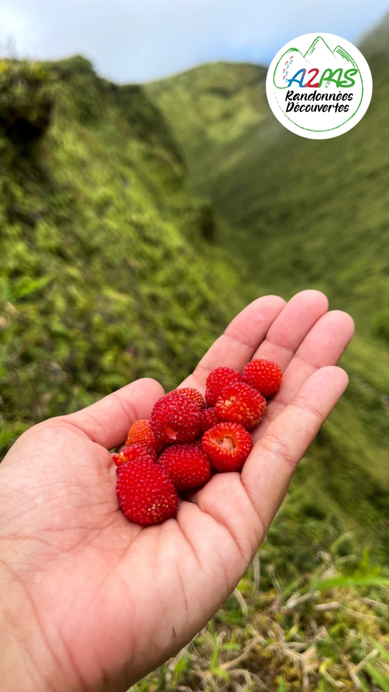 randonnee-volcan-de-la-montagne-pelee-martinique-avec-une-guide-de-randonnee-professionnelle-framboise-sauvage