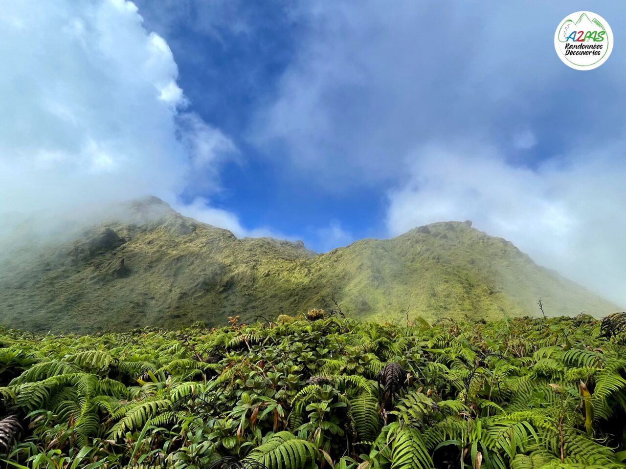 randonnee-volcan-de-la-montagne-pelee-martinique-avec-une-guide-de-randonnee-professionnelle-jusquau-chinois-sous-les-nuages