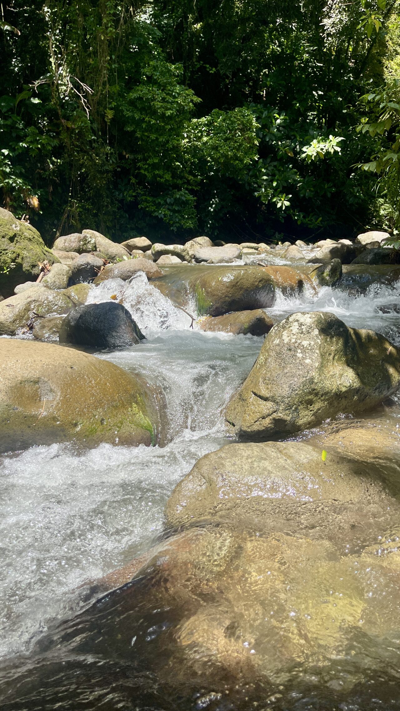 randonnee-guidee-reveillon