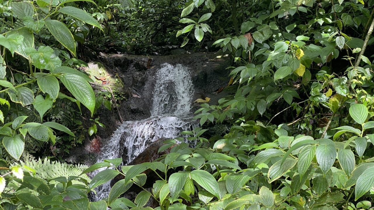 randonnee-rivière-martinique