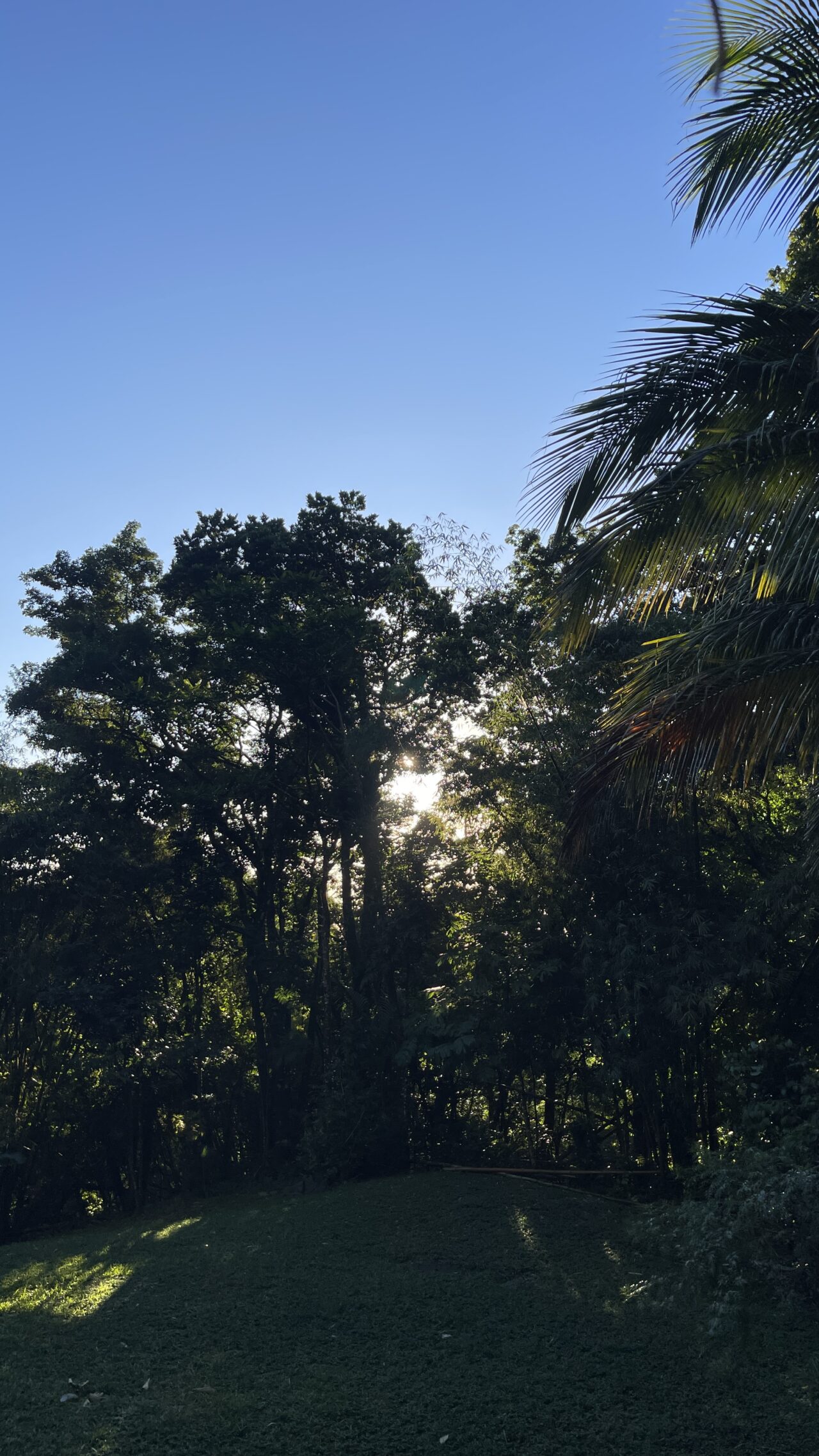 reveillon-unique-en-pleine-nature